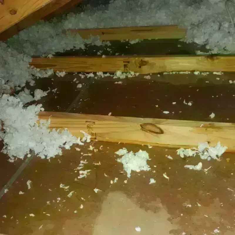 Attic Water Damage in Perryville, AR