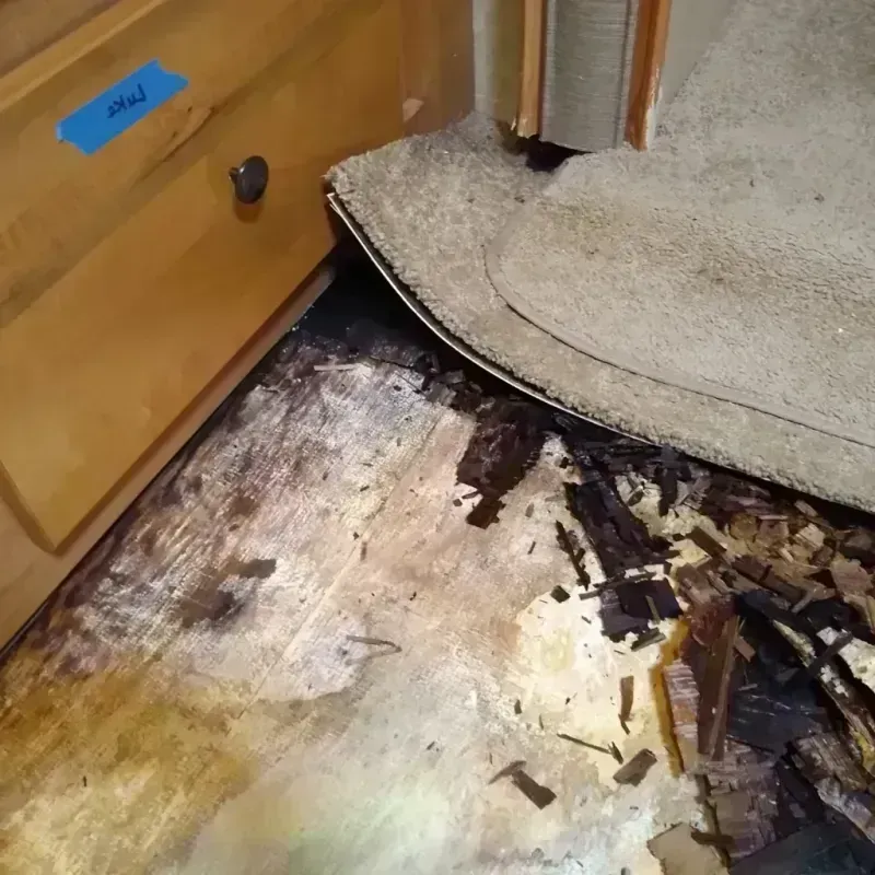 Wood Floor Water Damage in Perryville, AR